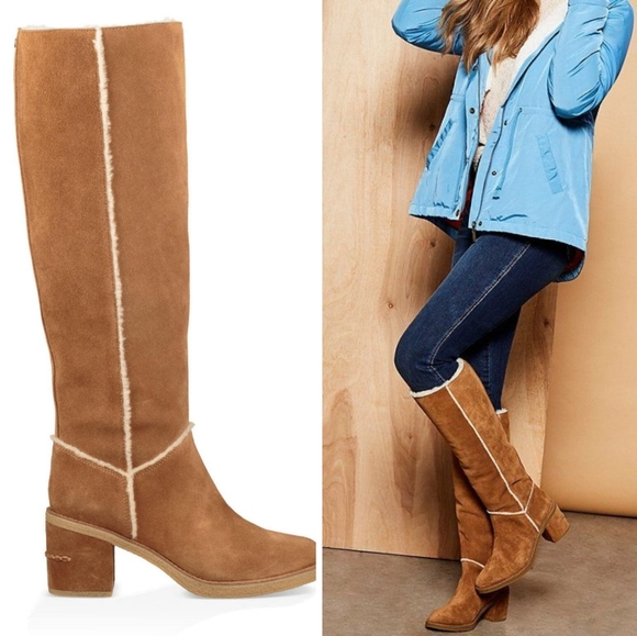 kasen tall ugg boots